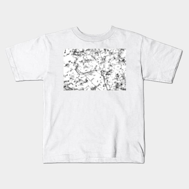 Flying object Kids T-Shirt by Z Snapper